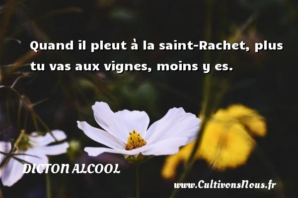 Quand il pleut à la saint-Rachet, plus tu vas aux vignes, moins y es. DICTON ALCOOL