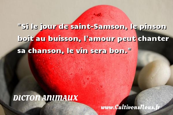 Si le jour de saint-Samson, le pinson boit au buisson, l amour peut chanter sa chanson, le vin sera bon. DICTON ANIMAUX