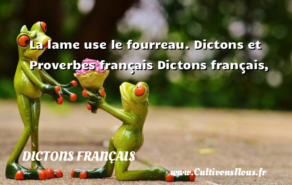 La lame use le fourreau. Dictons et Proverbes français Dictons français, DICTONS FRANÇAIS