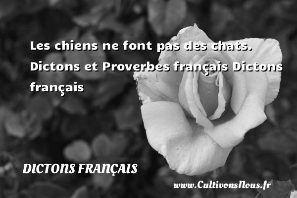 Les chiens ne font pas des chats.  Dictons et Proverbes français Dictons français DICTONS FRANÇAIS
