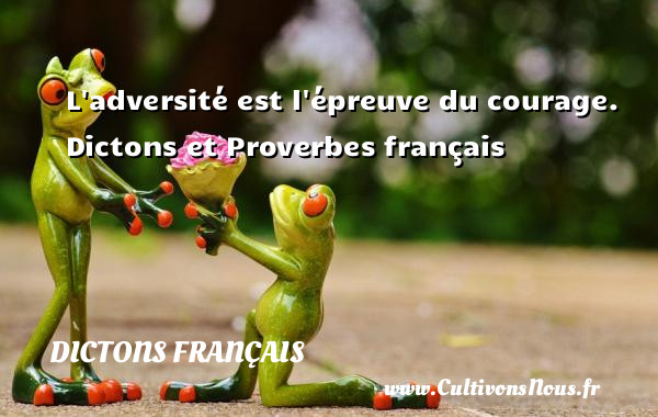 L adversité est l épreuve du courage. Dictons et Proverbes français DICTONS FRANÇAIS - Dictons français