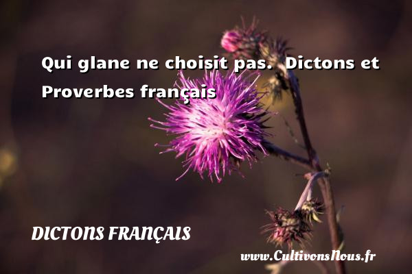 Qui glane ne choisit pas.  Dictons et Proverbes français    DICTONS FRANÇAIS - Dictons français
