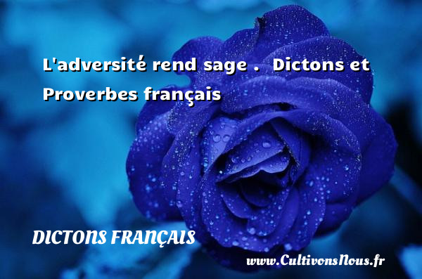 L adversité rend sage .  Dictons et Proverbes français    DICTONS FRANÇAIS - Dictons français