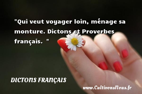 Qui veut voyager loin, ménage sa monture. Dictons et Proverbes français.   DICTONS FRANÇAIS - Dictons français