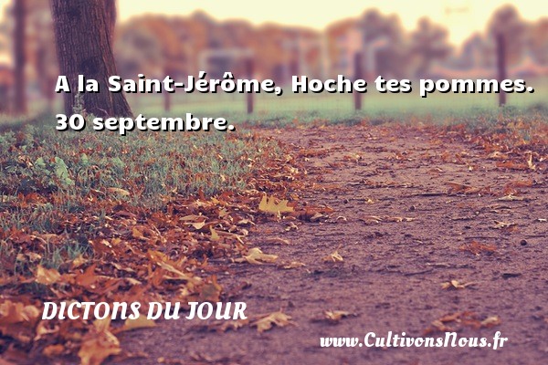 A la Saint-Jérôme, Hoche tes pommes. 30 septembre. DICTONS DU JOUR