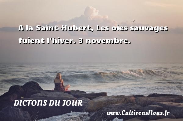 A la Saint-Hubert, Les oies sauvages fuient l hiver. 3 novembre. DICTONS DU JOUR