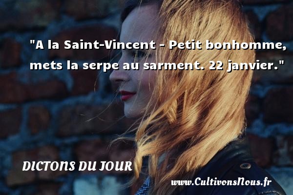 A la Saint-Vincent - Petit bonhomme, mets la serpe au sarment. 22 janvier. DICTONS DU JOUR