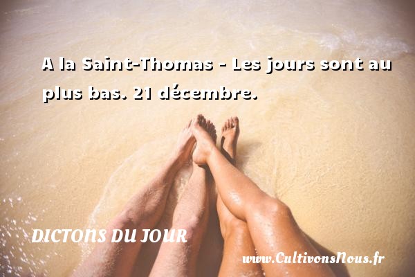 A la Saint-Thomas - Les jours sont au plus bas. 21 décembre. DICTONS DU JOUR
