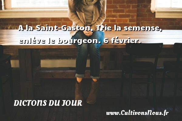 A la Saint-Gaston, Trie la semense, enlève le bourgeon. 6 février. DICTONS DU JOUR
