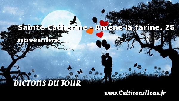 Sainte-Catherine - Amène la farine. 25 novembre. DICTONS DU JOUR