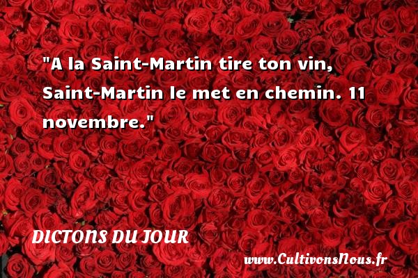 A la Saint-Martin tire ton vin, Saint-Martin le met en chemin. 11 novembre. DICTONS DU JOUR