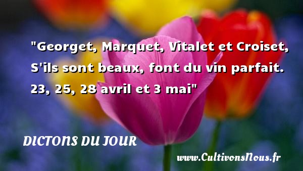 Georget, Marquet, Vitalet et Croiset, S ils sont beaux, font du vin parfait. 23, 25, 28 avril et 3 mai DICTONS DU JOUR
