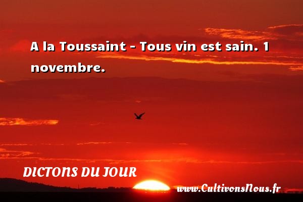 A la Toussaint - Tous vin est sain. 1 novembre. DICTONS DU JOUR