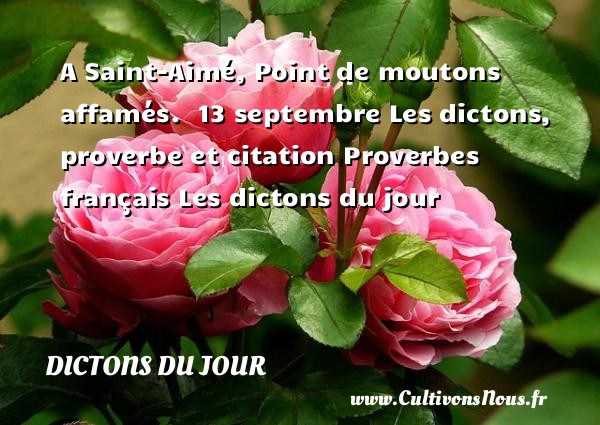 A Saint-Aimé, Point de moutons affamés.  13 septembre Les dictons, proverbe et citation Proverbes français Les dictons du jour 