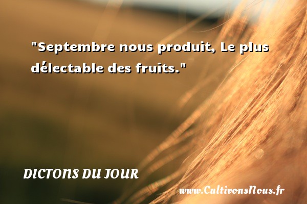 Septembre nous produit, Le plus délectable des fruits. DICTONS DU JOUR