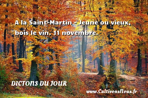 A la Saint-Martin - Jeune ou vieux, bois le vin. 11 novembre. DICTONS DU JOUR