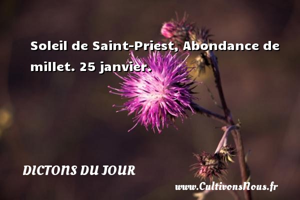 Soleil de Saint-Priest, Abondance de millet. 25 janvier. DICTONS DU JOUR