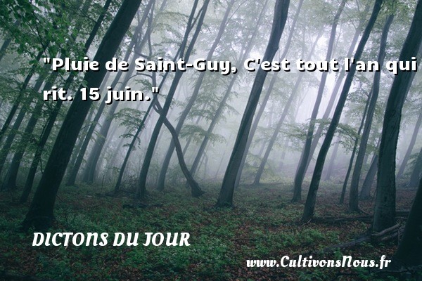 Pluie de Saint-Guy, C est tout l an qui rit. 15 juin. DICTONS DU JOUR