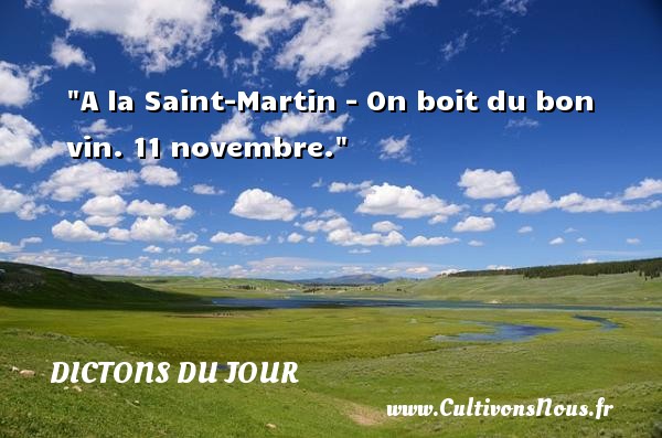 A la Saint-Martin - On boit du bon vin. 11 novembre. DICTONS DU JOUR