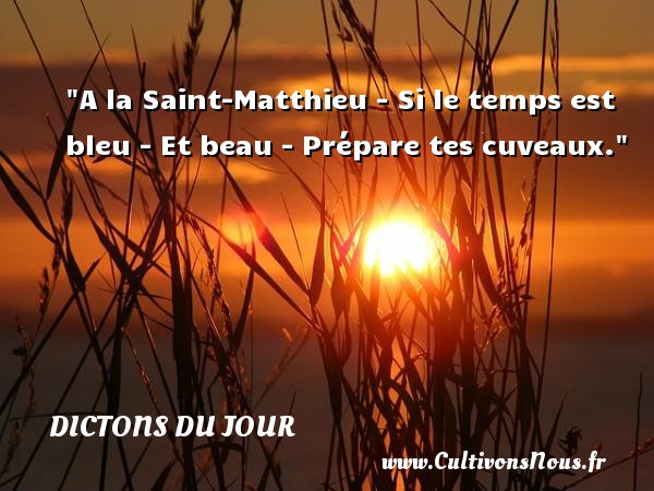A la Saint-Matthieu - Si le temps est bleu - Et beau - Prépare tes cuveaux. DICTONS DU JOUR