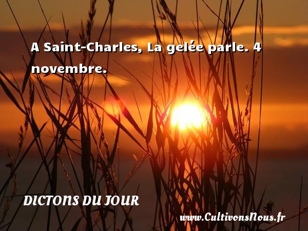A Saint-Charles, La gelée parle. 4 novembre. DICTONS DU JOUR