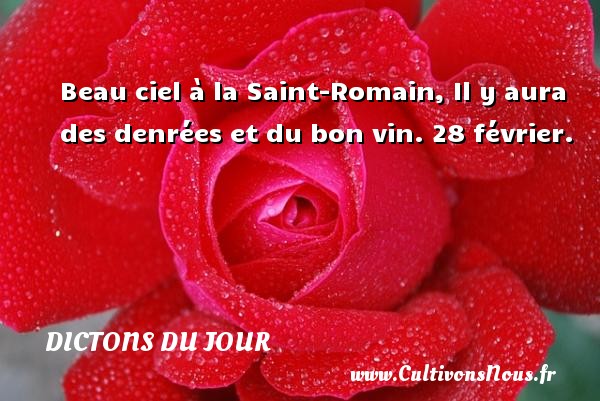 Beau ciel à la Saint-Romain, Il y aura des denrées et du bon vin. 28 février. DICTONS DU JOUR