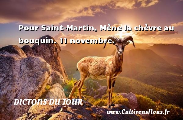Pour Saint-Martin, Mène la chèvre au bouquin. 11 novembre. DICTONS DU JOUR