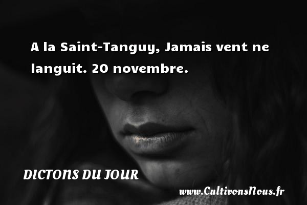 A la Saint-Tanguy, Jamais vent ne languit. 20 novembre. DICTONS DU JOUR