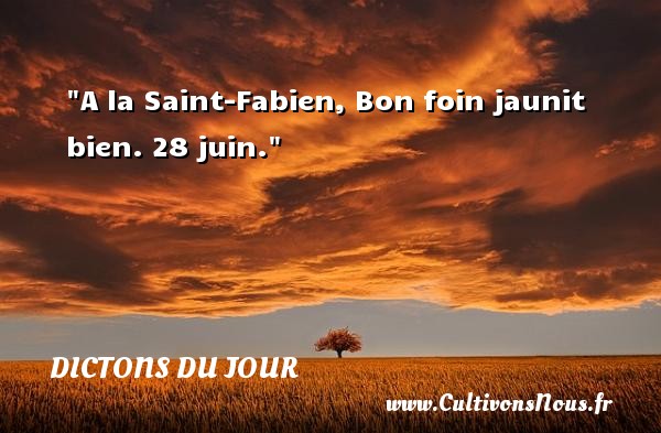 A la Saint-Fabien, Bon foin jaunit bien. 28 juin. DICTONS DU JOUR