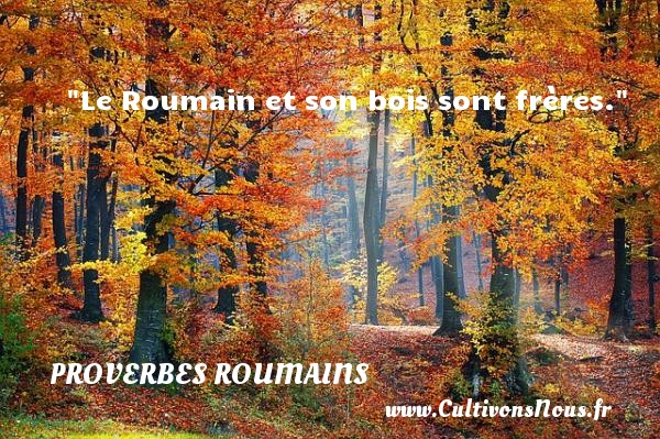 Le Roumain et son bois sont frères. PROVERBES ROUMAINS - Proverbes philosophiques