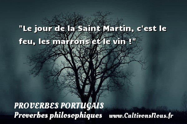 Le jour de la Saint Martin, c est le feu, les marrons et le vin ! PROVERBES PORTUGAIS - Proverbes philosophiques