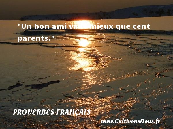 Un bon ami vaut mieux que cent parents. PROVERBES FRANÇAIS - Proverbes français - Proverbes Amitié
