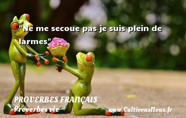 Ne me secoue pas je suis plein de larmes PROVERBES FRANÇAIS - Proverbes français - Proverbe tristesse - Proverbes vie