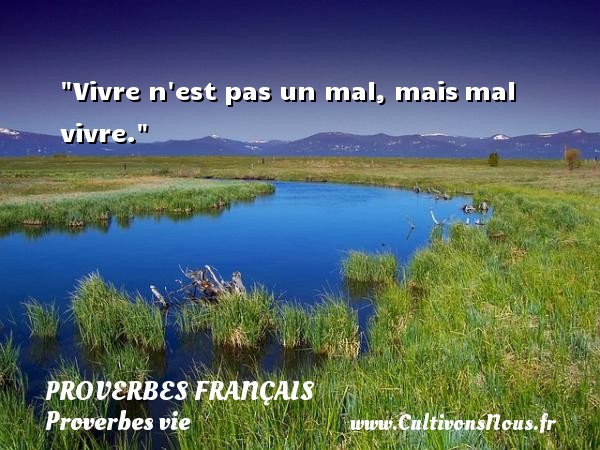 Vivre n est pas un mal, mais mal vivre. PROVERBES FRANÇAIS - Proverbes français - Proverbes vie