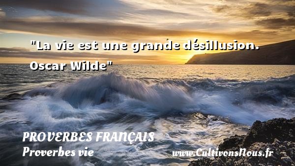 La vie est une grande désillusion. Oscar Wilde PROVERBES FRANÇAIS - Proverbes français - Proverbes vie