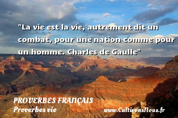 La vie est la vie, autrement dit un combat, pour une nation comme pour un homme. Charles de Gaulle PROVERBES FRANÇAIS - Proverbes français - Proverbes vie