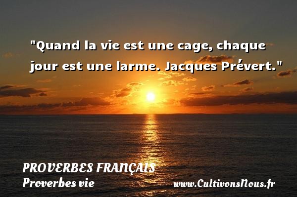 Quand la vie est une cage, chaque jour est une larme. Jacques Prévert PROVERBES FRANÇAIS - Proverbes français - Proverbes vie