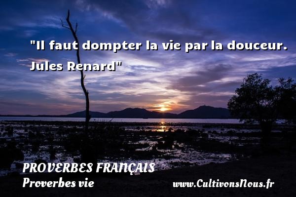 Il faut dompter la vie par la douceur. Jules Renard PROVERBES FRANÇAIS - Proverbes français - Proverbes vie