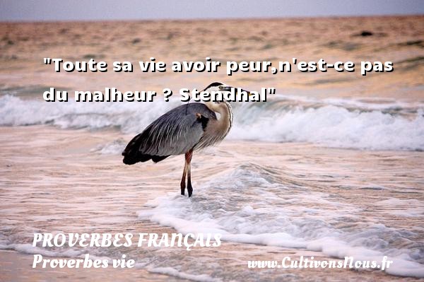 Toute sa vie avoir peur,n est-ce pas du malheur ? Stendhal PROVERBES FRANÇAIS - Proverbes français - Proverbes vie