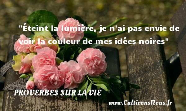 Éteint la lumière, je n ai pas envie de voir la couleur de mes idées noires PROVERBES FRANÇAIS - Proverbes français - Proverbes vie