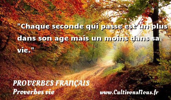 Chaque seconde qui passe est un plus dans son age mais un moins dans sa vie. PROVERBES FRANÇAIS - Proverbes français - Proverbes vie
