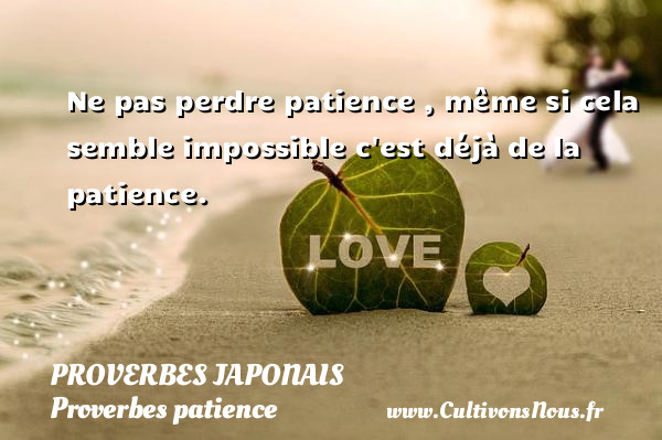 Ne pas perdre patience , même si cela semble impossible c est déjà de la patience. PROVERBES JAPONAIS - Proverbes patience