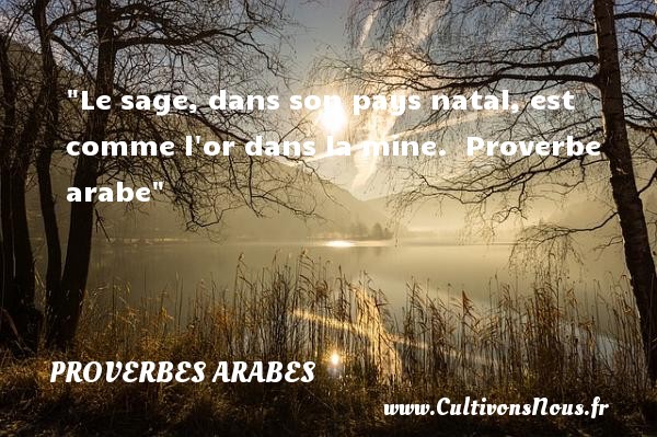 Le sage, dans son pays natal, est comme l or dans la mine.  Proverbe arabe PROVERBES ARABES - Proverbes Naissance