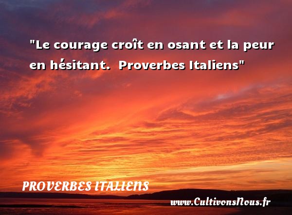 Le courage croît en osant et la peur en hésitant.  Proverbes Italiens  Proverbes sur la peur et le courage  - Citation courage