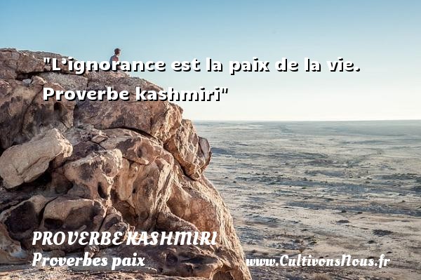 L’ignorance est la paix de la vie.  Proverbe kashmiri  - Proverbes paix