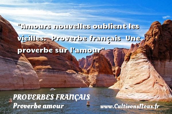 Amours nouvelles oublient les vieilles.  Proverbe français  Une proverbe sur l amour PROVERBES FRANÇAIS - Proverbes français - Proverbe amour
