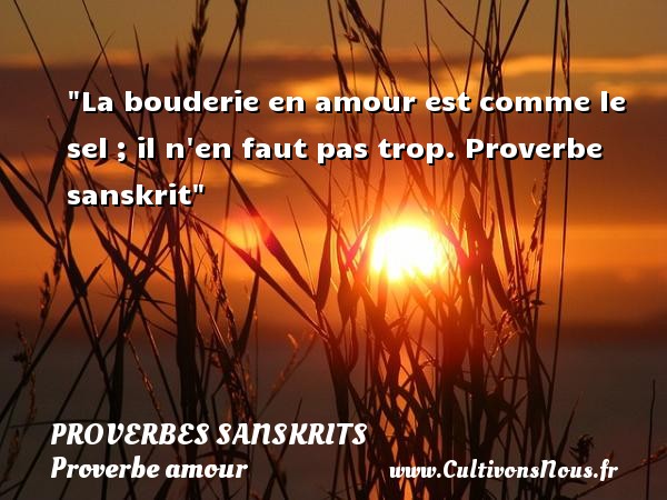 La bouderie en amour est comme le sel ; il n en faut pas trop. Proverbe sanskrit PROVERBES SANSKRITS - Proverbe amour