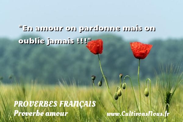 En amour on pardonne mais on oublie jamais !!! PROVERBES FRANÇAIS - Proverbes français - Proverbe amour