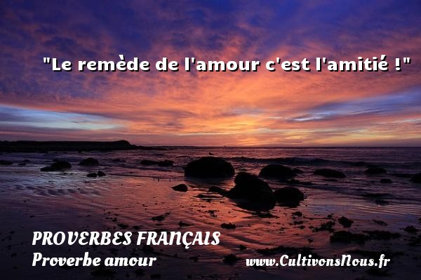 Le remède de l amour c est l amitié ! PROVERBES FRANÇAIS - Proverbes français - Proverbe amour
