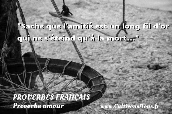 Sache que l amitié est un long fil d or qui ne s éteind qu à la mort... PROVERBES FRANÇAIS - Proverbes français - Proverbe amour